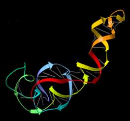 DNA، پیشرفته‌ترین زبان برنامه‌نویسی فناوری‌نانو