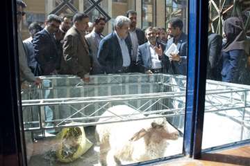 سفر استانی دکتر ستاری به استان کرمانشاه