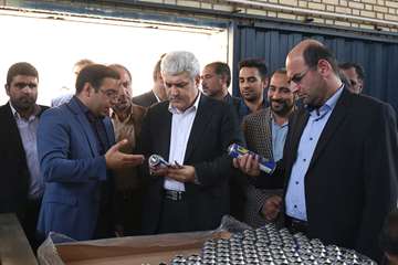 Vice President of Science and Technology Visiting Kashan’s Knowledge-based Companies