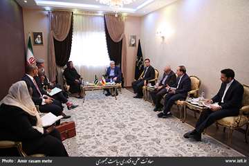 Meeting of the vice president for science and technology affairs with minister of science of South A