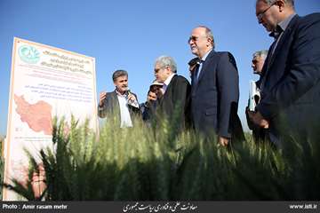 Travel of the vice president for science and technology affairs to Alborz Province 