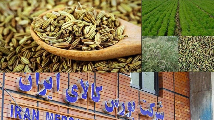 رو به جلو در تجارت گیاهان دارویی؛ زیره‌کاران محصول خود را در بورس عرضه می‌کنند  